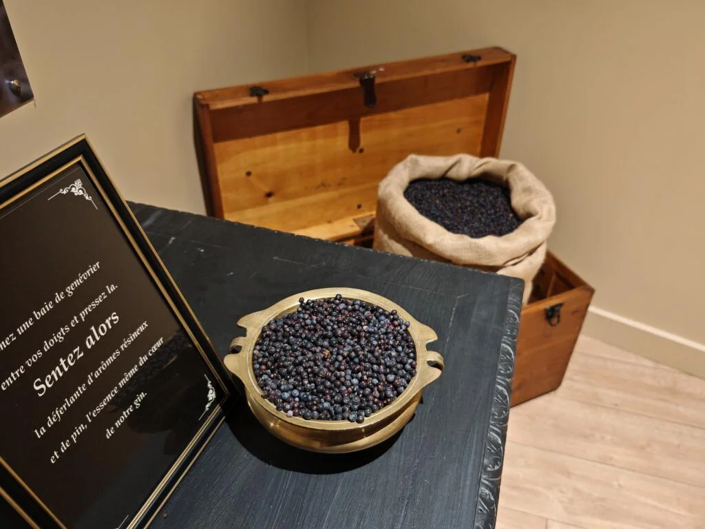 Parcours sensoriel et baies de genévrier lors de la visite de la distillerie Birdie